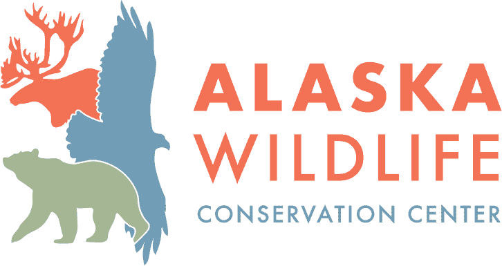 Alaska Wildlife Conservation Center - Logo