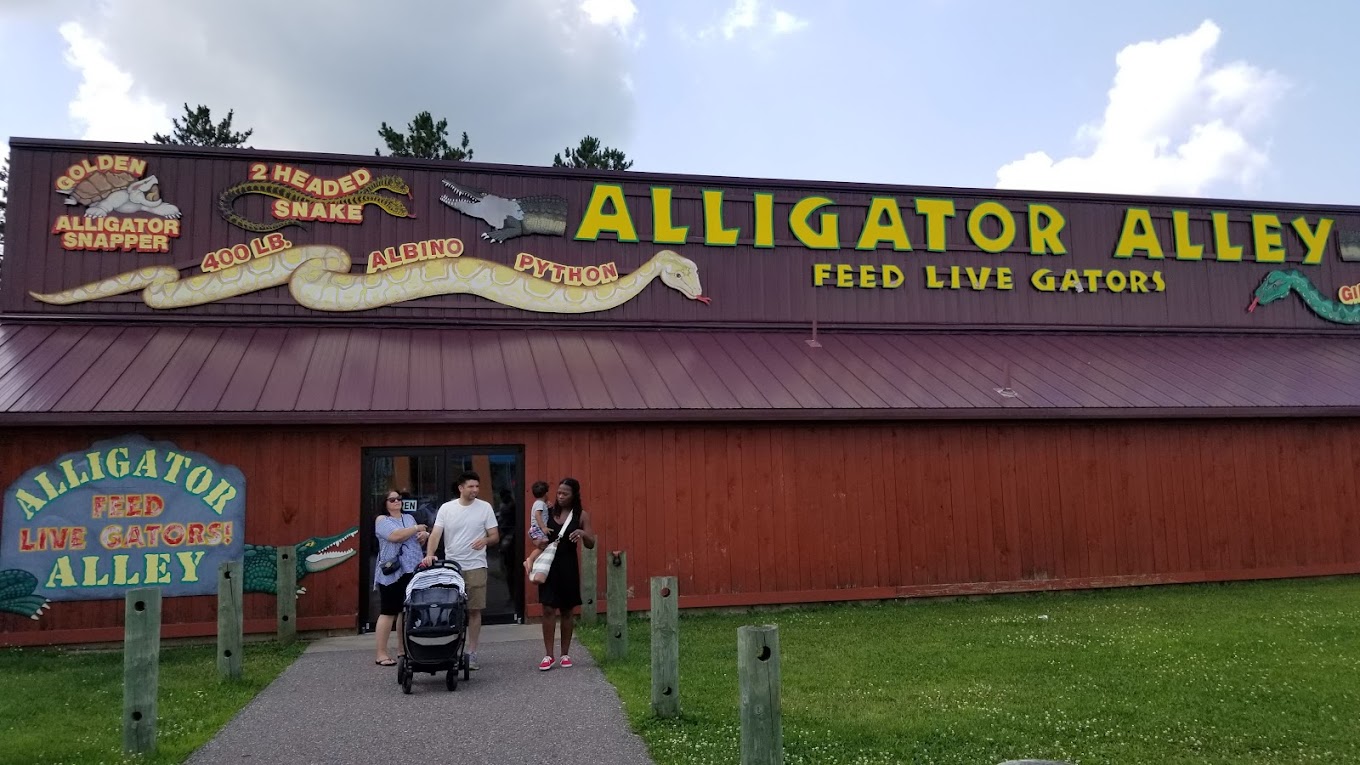 Alligator Alley Travel | Zoo and Wildlife Sanctuary 