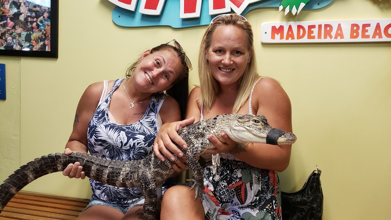 Alligator & Wildlife Discovery Center Travel | Zoo and Wildlife Sanctuary 