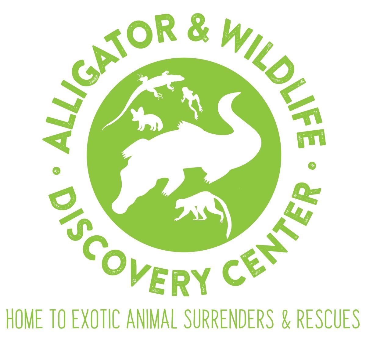 Alligator & Wildlife Discovery Center - Logo