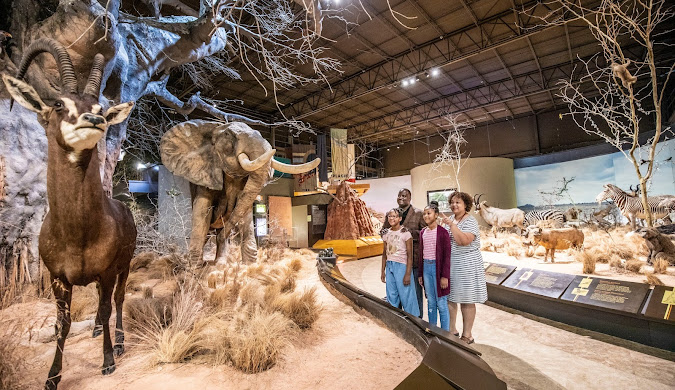 Anniston Museum of Natural History Travel | Museums