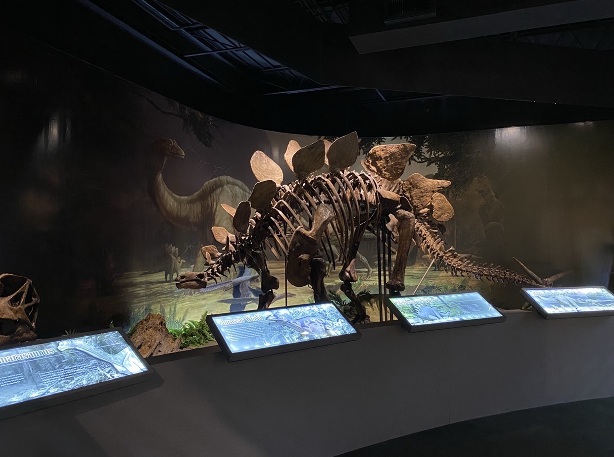 Anniston Museum of Natural History Travel | Museums
