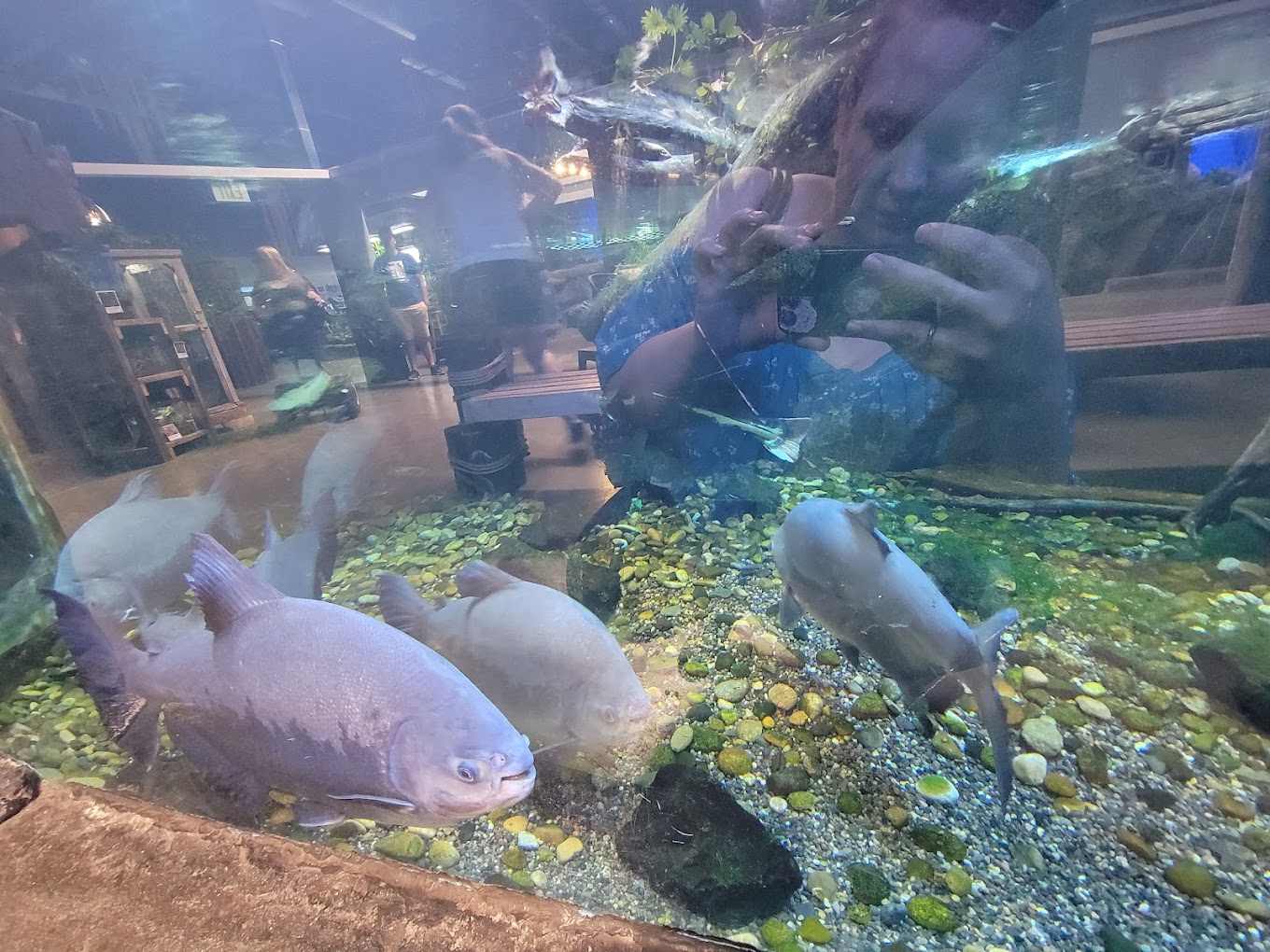 Aquarium of Boise Travel | Park