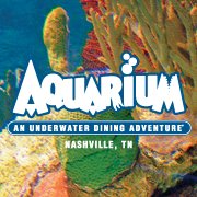 Aquarium Restaurant|Museums|Travel