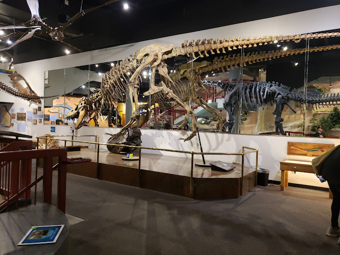 Arizona Museum of Natural History Travel | Museums