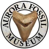 Aurora Fossil Museum|Park|Travel