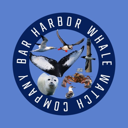 Bar Harbor Whale Museum - Logo