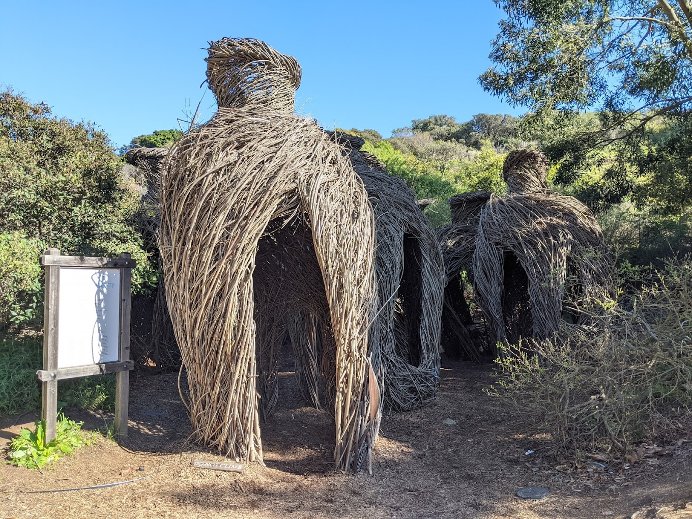 Bay Area Discovery Museum Travel | Museums