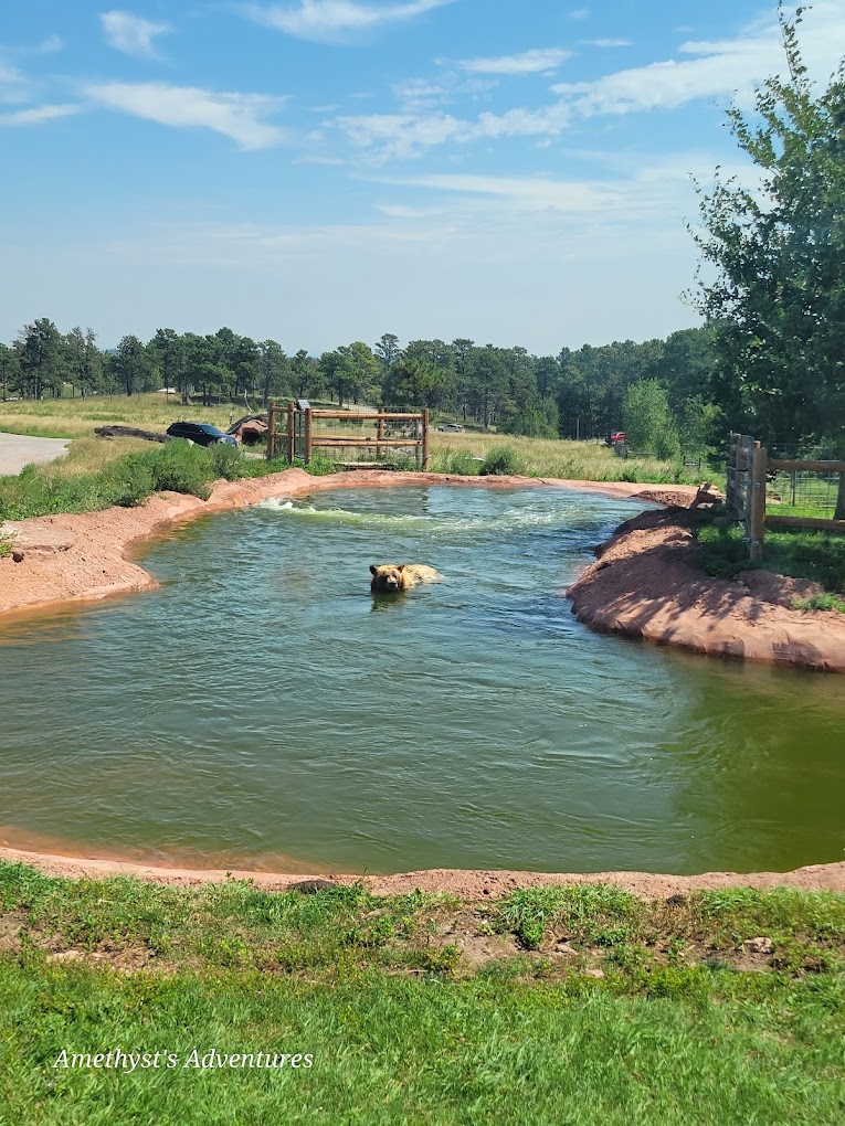 Bear Country Travel | Zoo and Wildlife Sanctuary 
