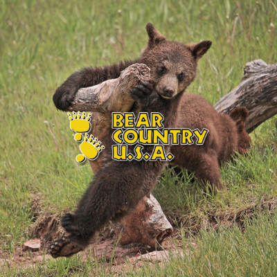 Bear Country - Logo