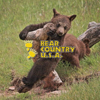 Bear Country Logo