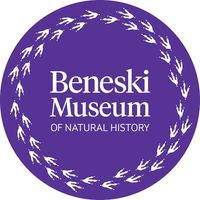 Beneski Museum of Natural History at Amherst College - Logo