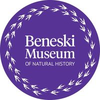 Beneski Museum of Natural History at Amherst College|Museums|Travel