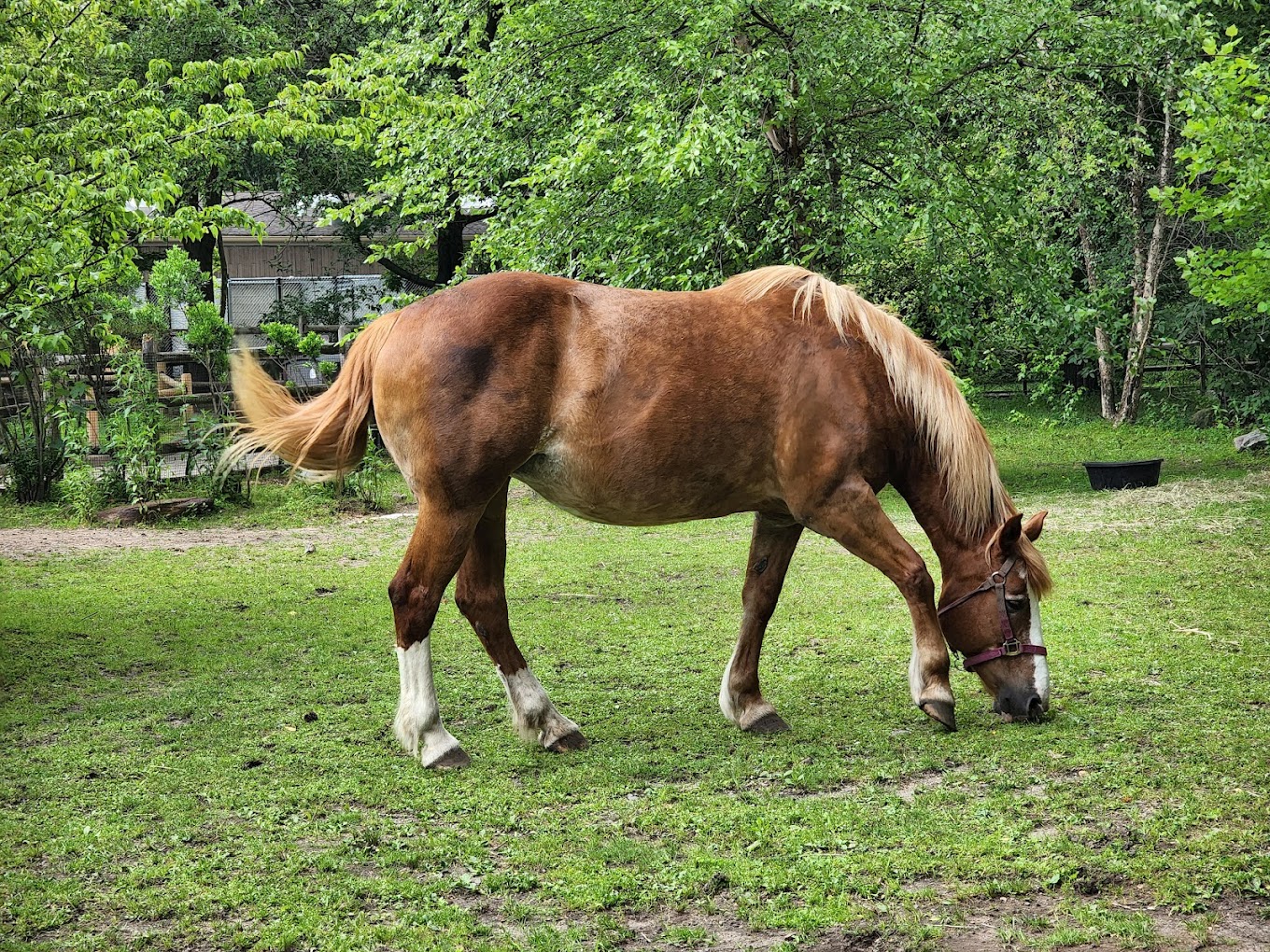 Bergen County Zoological Park Travel | Zoo and Wildlife Sanctuary 