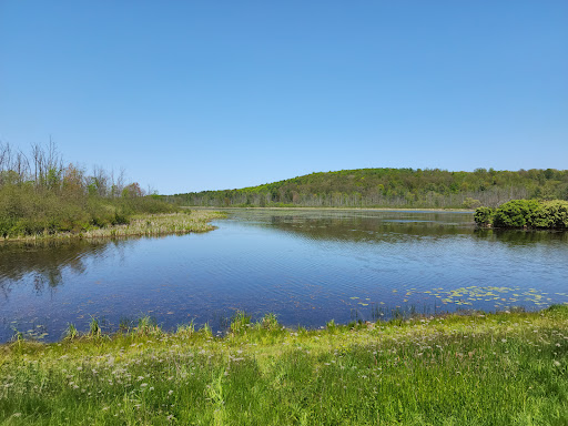 Birdseye Hollow Park Travel | Park