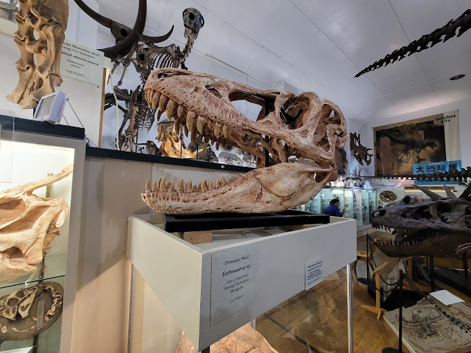 Black Hills Institute of Geological Research Travel | Museums