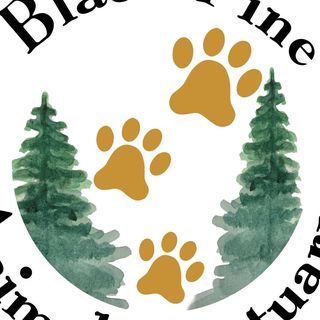 Black Pine Animal Sanctuary - Logo