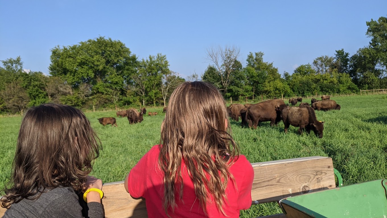 Bracy Gold Bison Ranch Travel | Zoo and Wildlife Sanctuary 