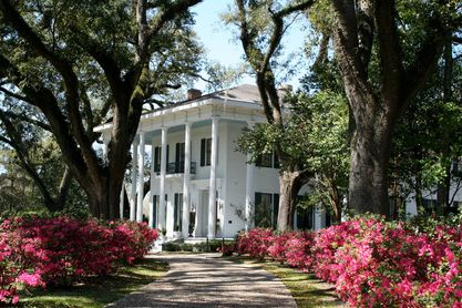 Bragg Mitchell Mansion - Logo