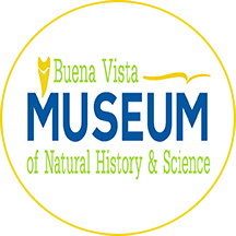 Buena Vista Museum of Natural History & Science|Museums|Travel