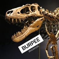 Burpee Museum of Natural History Logo
