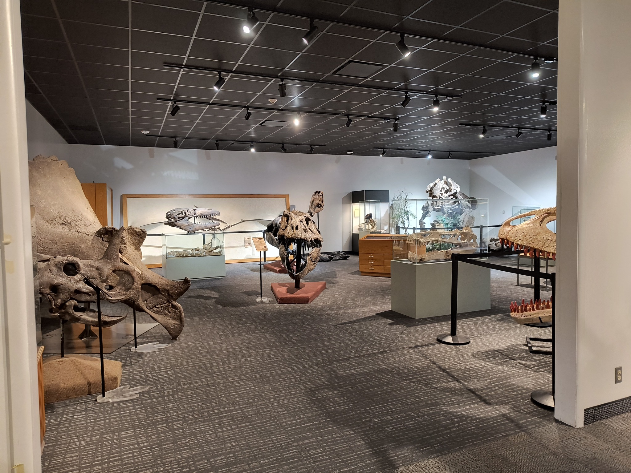 BYU Museum of Paleontology Travel | Museums