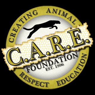 C.A.R.E. Foundation - Logo