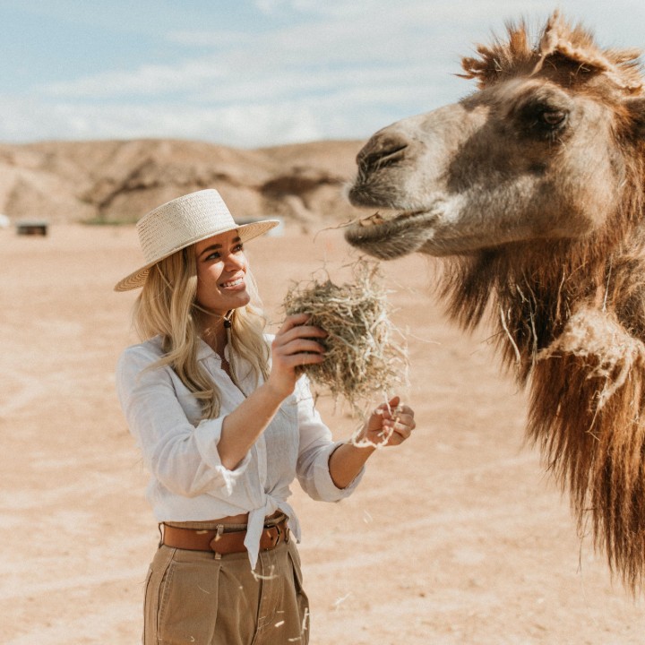 Camel Safari Travel | Zoo and Wildlife Sanctuary 