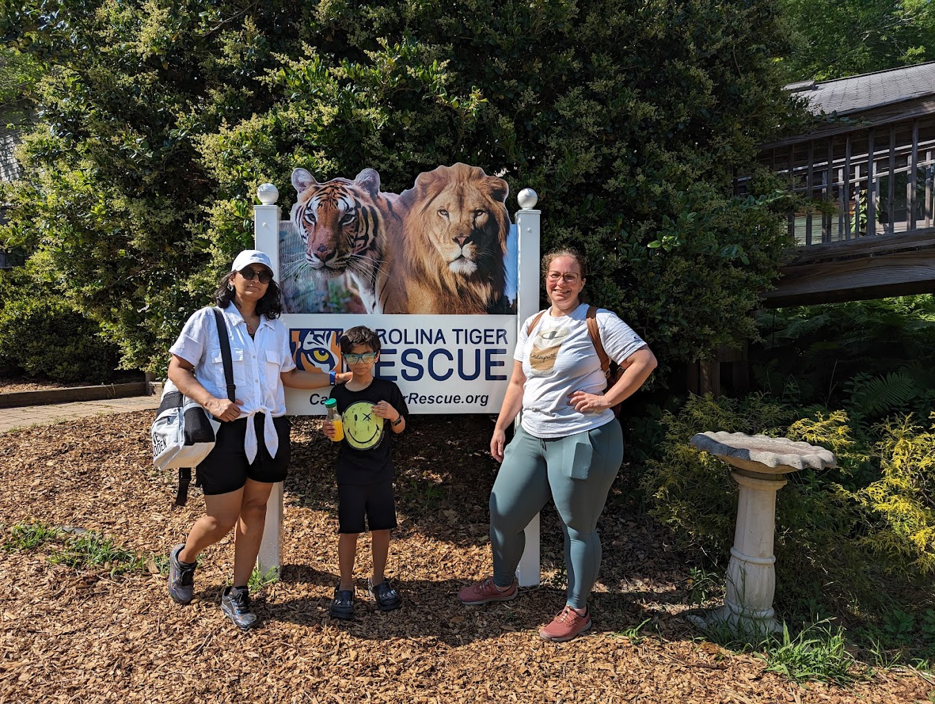Carolina Tiger Rescue Travel | Zoo and Wildlife Sanctuary 
