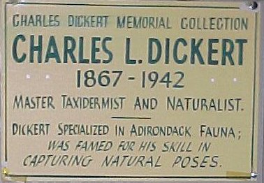 Charles Dickert Wildlife Collection Logo