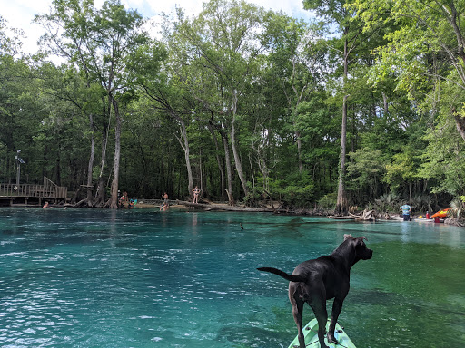 Choctawhatchee and Holmes Creek Water Management Area Travel | Park