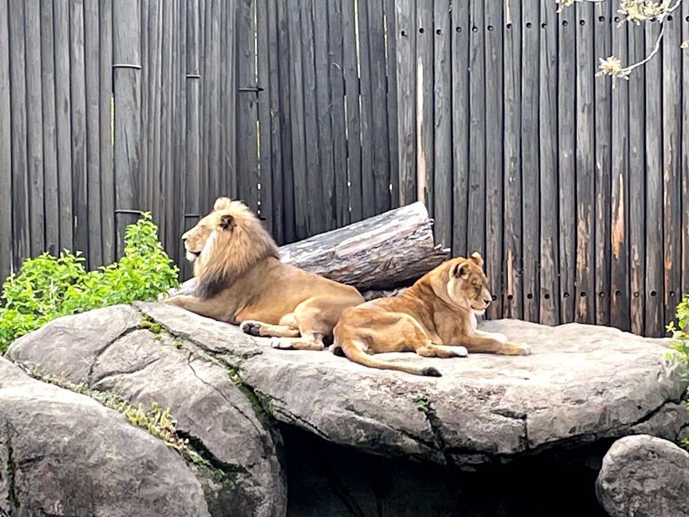 Cleveland Metroparks Zoo Travel | Zoo and Wildlife Sanctuary 