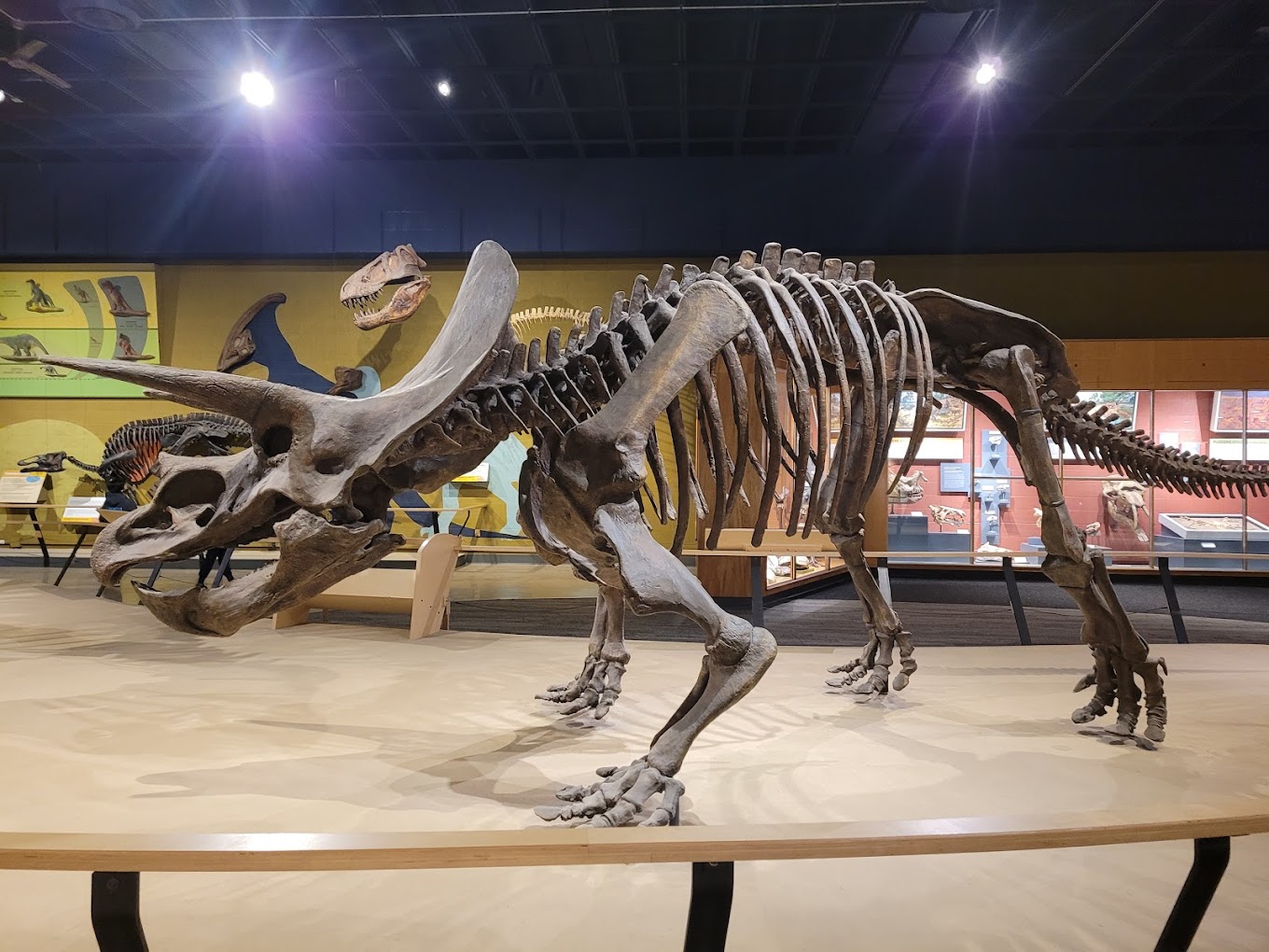 Cleveland Museum of Natural History Travel | Museums