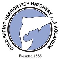 Cold Spring Harbor Fish Hatchery & Aquarium Logo