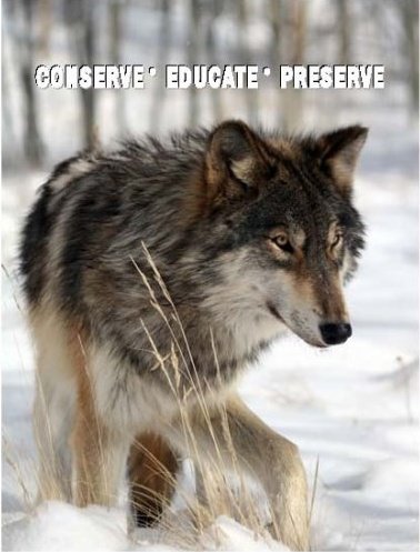 Colorado Wolf and Wildlife Center - Logo