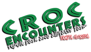 Croc Encounters Logo