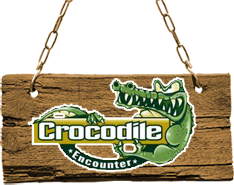 Crocodile Encounter - Logo