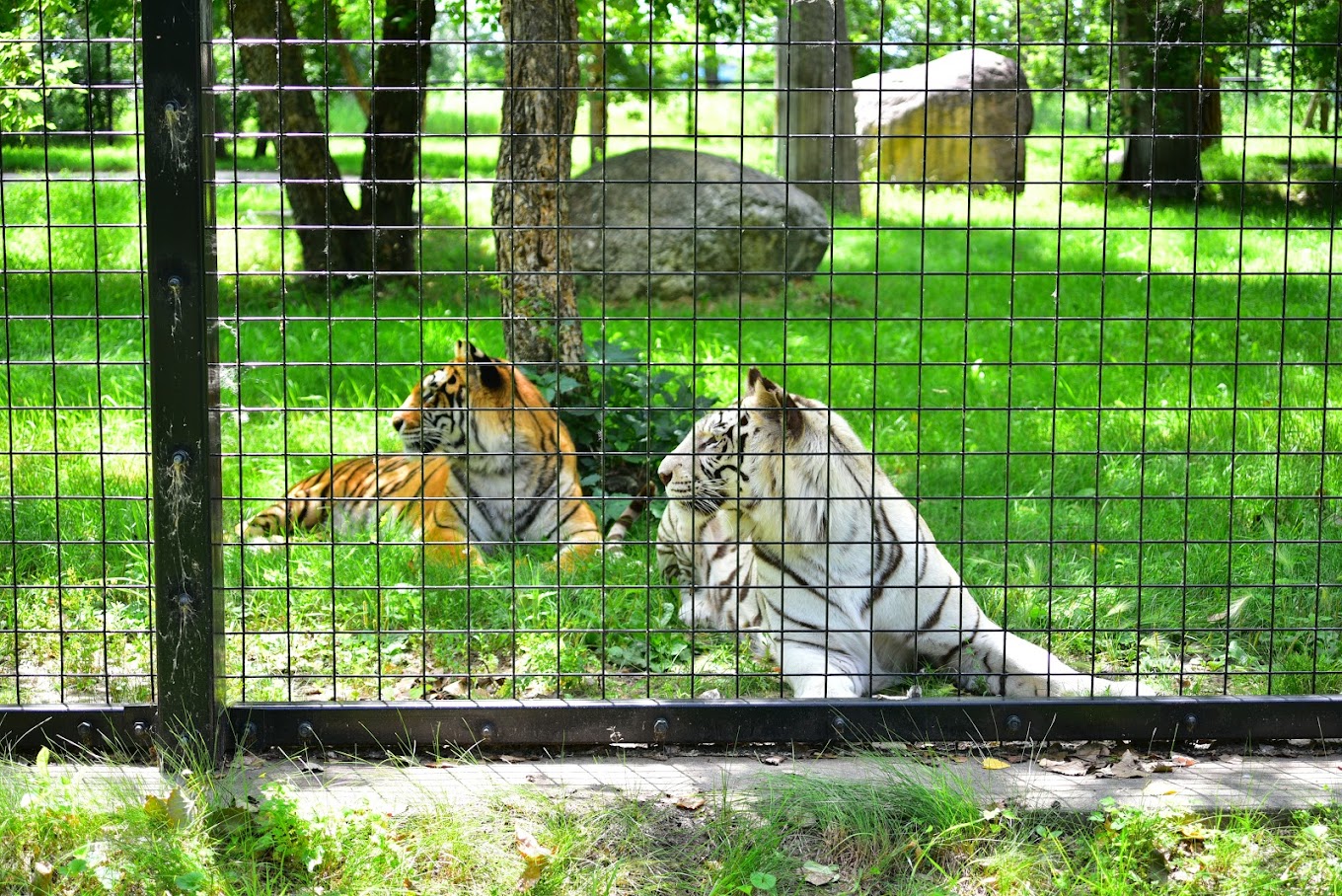 Dakota Zoo Travel | Zoo and Wildlife Sanctuary 