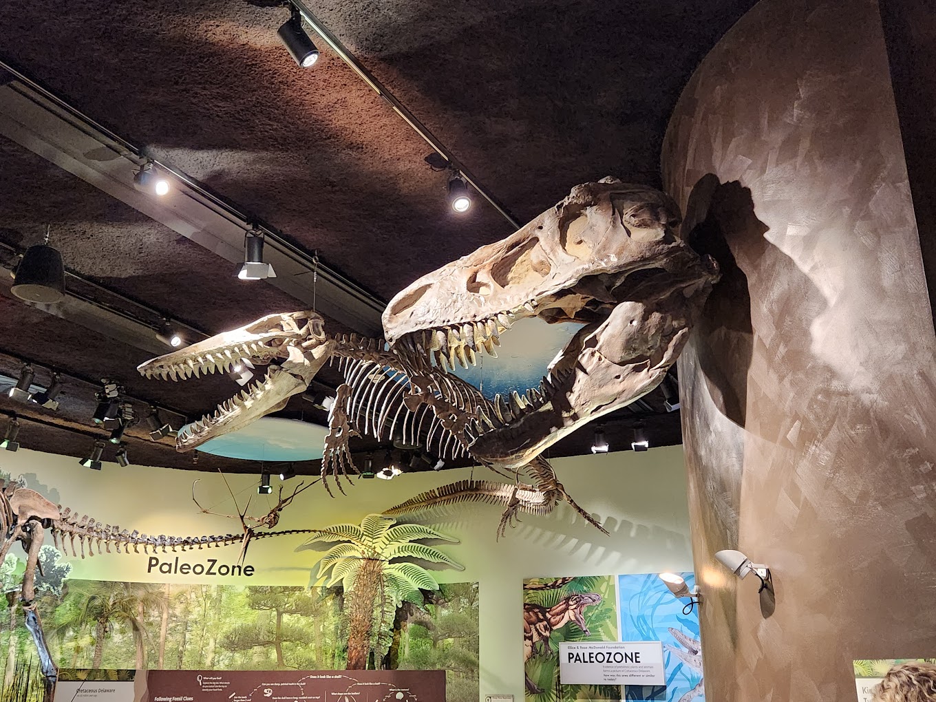Delaware Museum of Nature & Science Travel | Museums