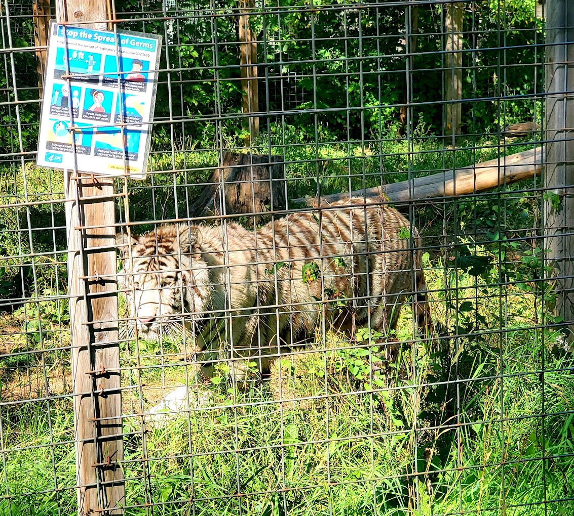 DeYoung Family Zoo Travel | Zoo and Wildlife Sanctuary 