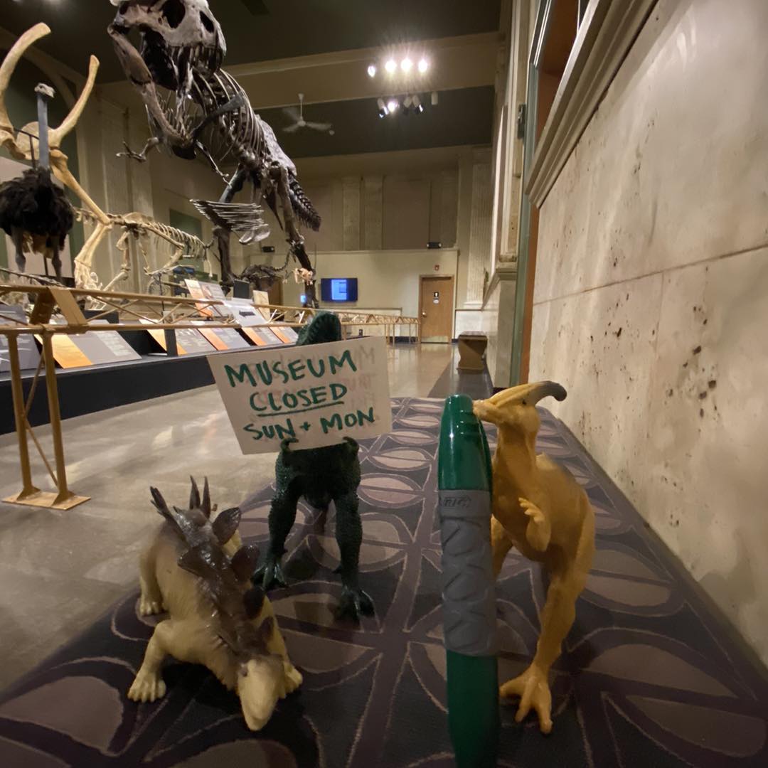 Dinosaur Discovery Museum Travel | Museums