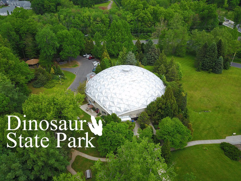 Dinosaur State Park and Arboretum - Logo