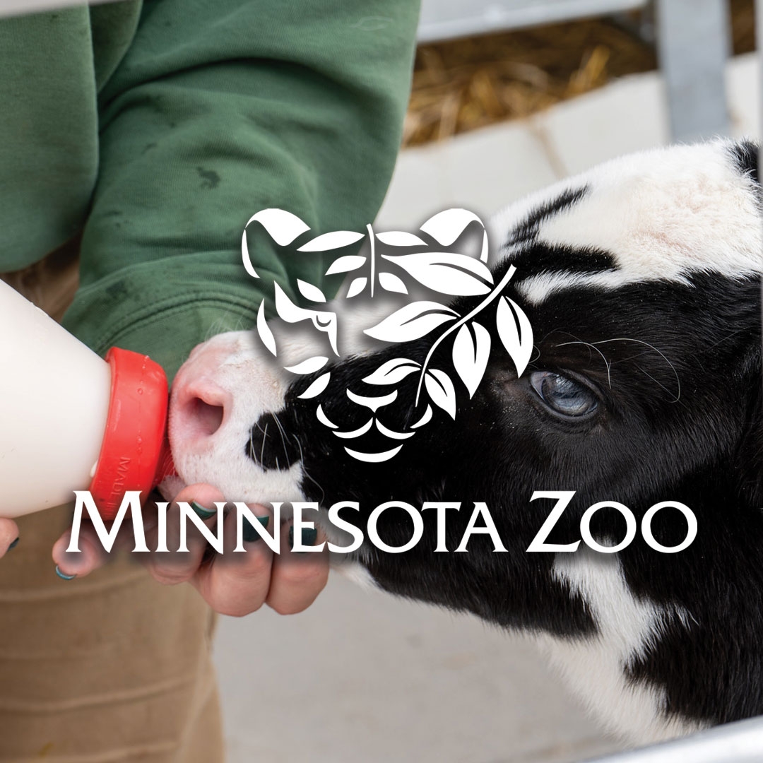 Discovery Bay at Minnesota Zoo - Logo