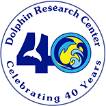 Dolphin Research Center Logo