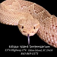 Edisto Island Serpentarium - Logo