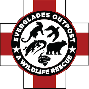 Everglades Outpost Logo