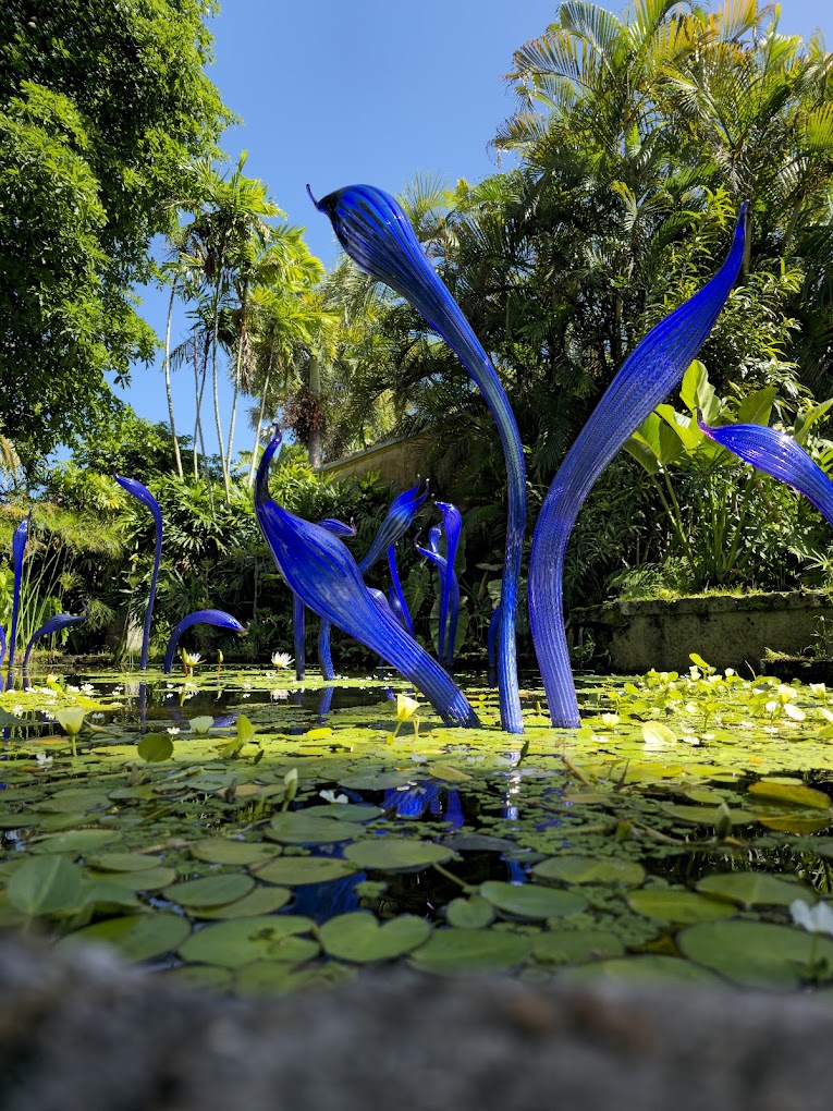 Fairchild Tropical Botanic Garden Travel | Museums