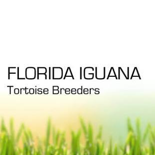Florida Iguana and Tortoise Breeders - Logo