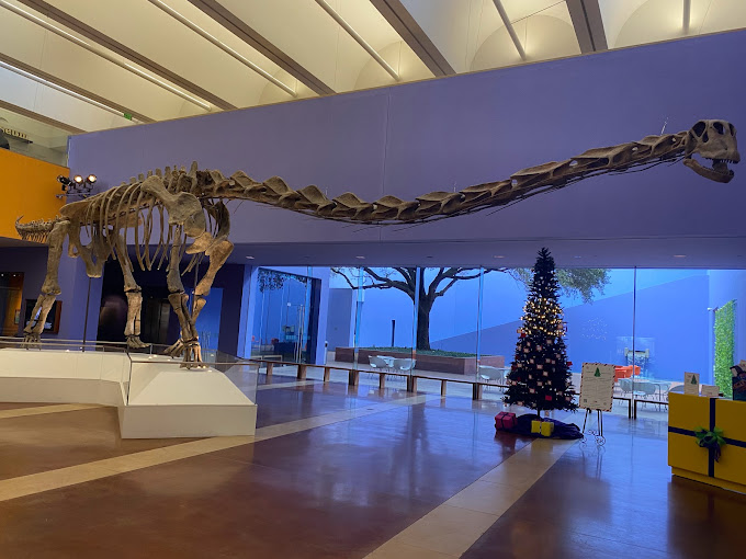 Fort Worth Museum of Science and History Travel | Museums