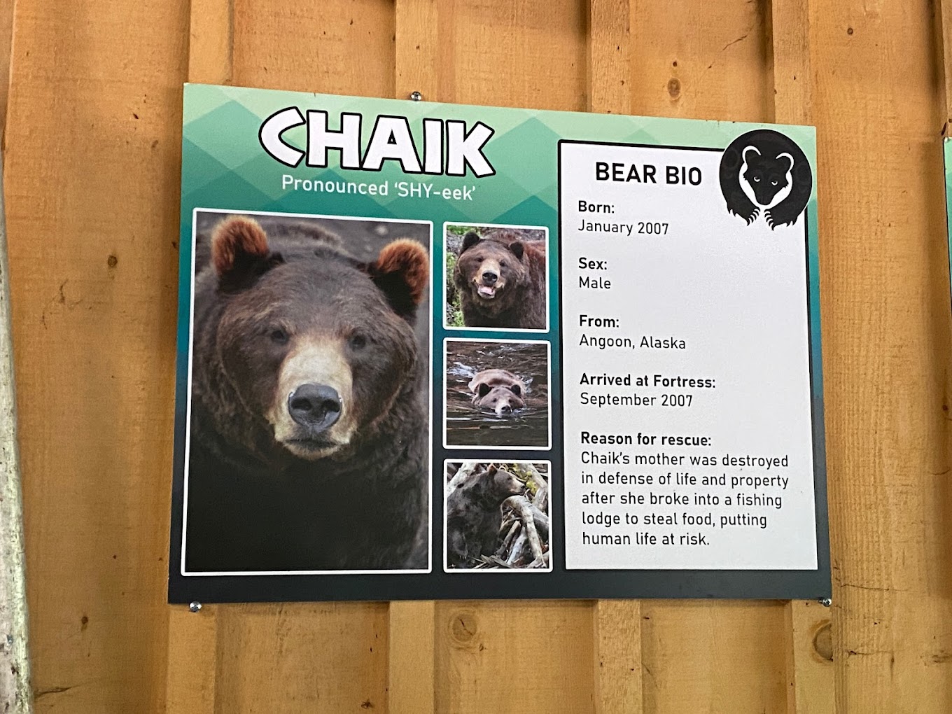 Fortress of the Bear Travel | Zoo and Wildlife Sanctuary 